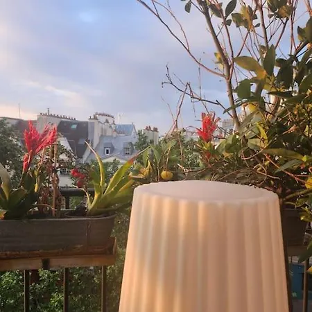 Pic De Notre Dame, Charming * Paříž