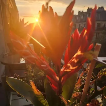 Pic De Notre Dame, Charming Paříž